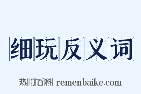 细玩反义词是什么意思的图片